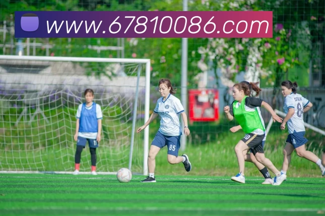 多媒体互动体验